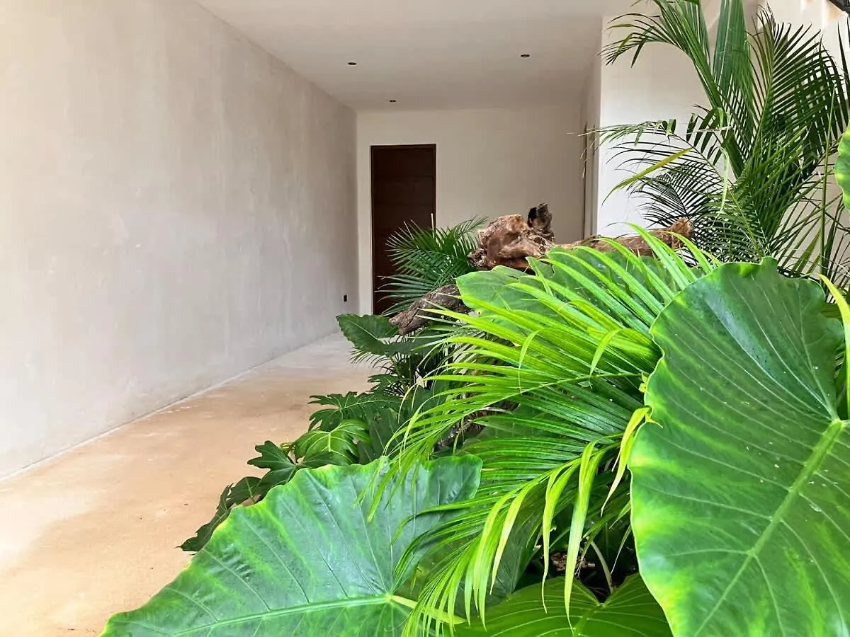 Near Beach Master Suite Private Pool Gym Laundry Free Parking For Couples Plus 2 Kids At Xibalbadk Tulum Apartment