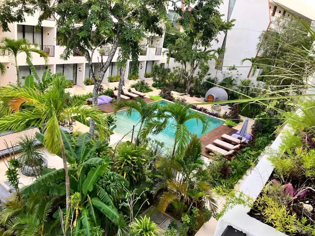 Near Beach Master Suite Private Pool Gym Laundry Free Parking For Couples Plus 2 Kids At Xibalbadk Tulum 0*,