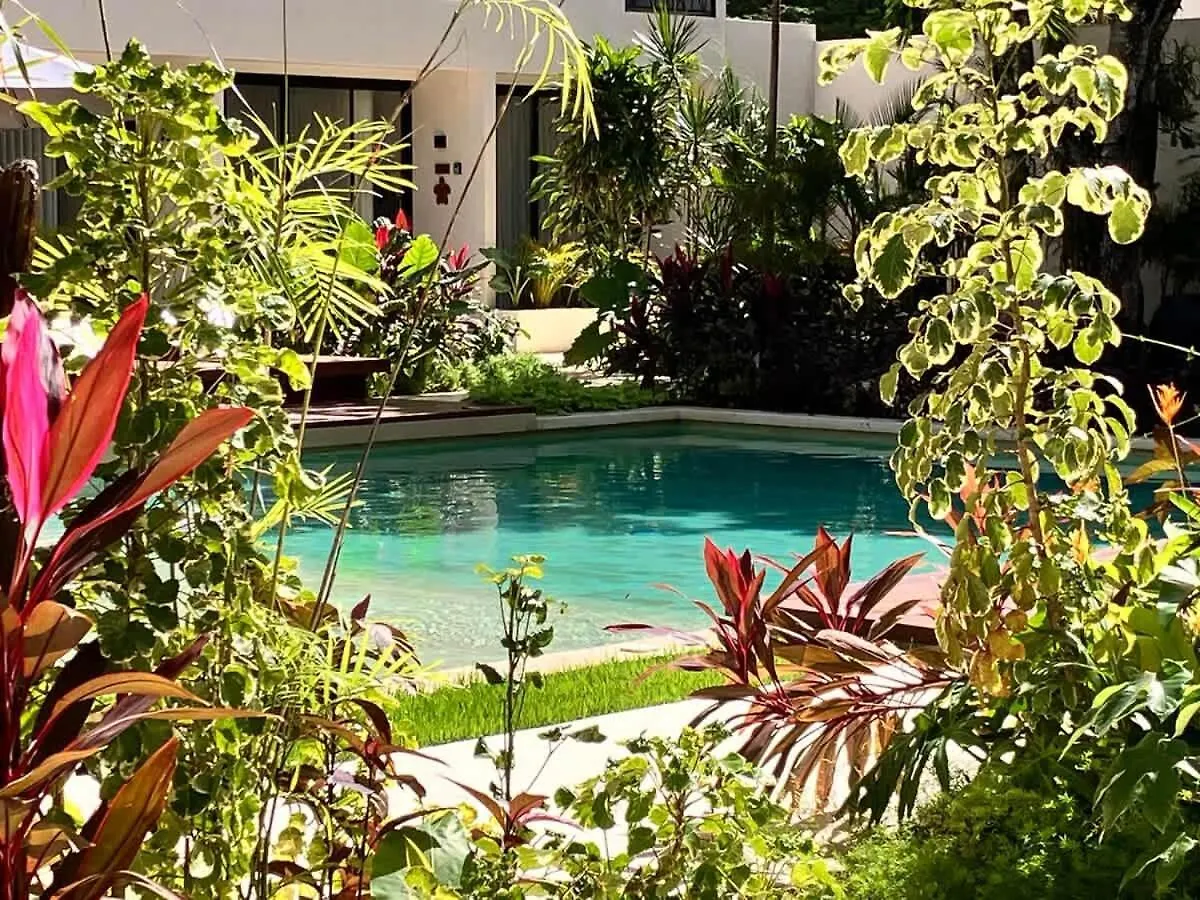 Apartament Near Beach Master Suite Private Pool Gym Laundry Free Parking For Couples Plus 2 Kids At Xibalbadk Tulum Meksyk