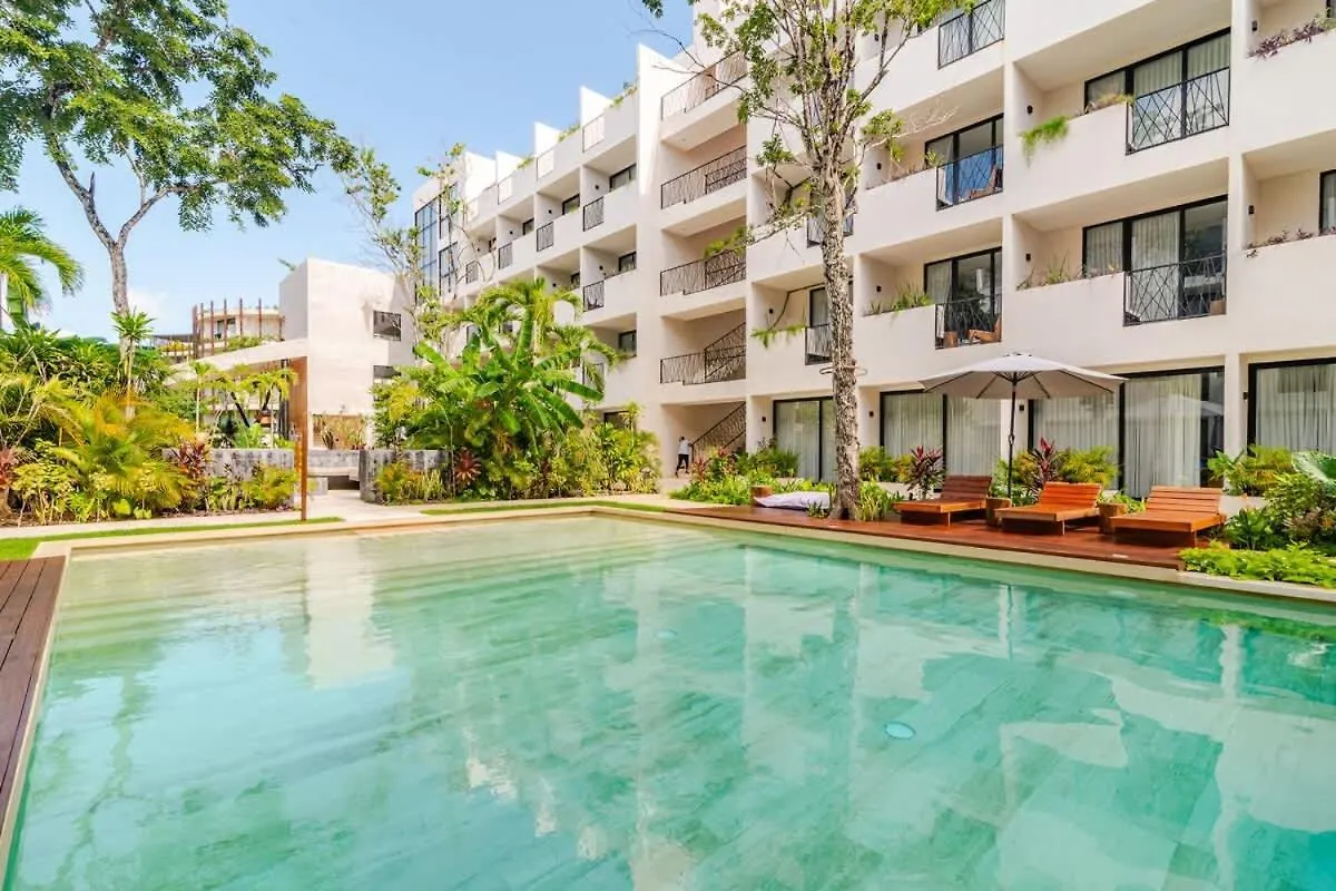 Apartament Near Beach Master Suite Private Pool Gym Laundry Free Parking For Couples Plus 2 Kids At Xibalbadk Tulum